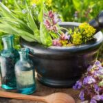 Medicinal & Aromatic plants