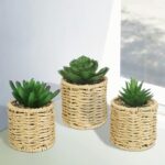 artificial decorative plants