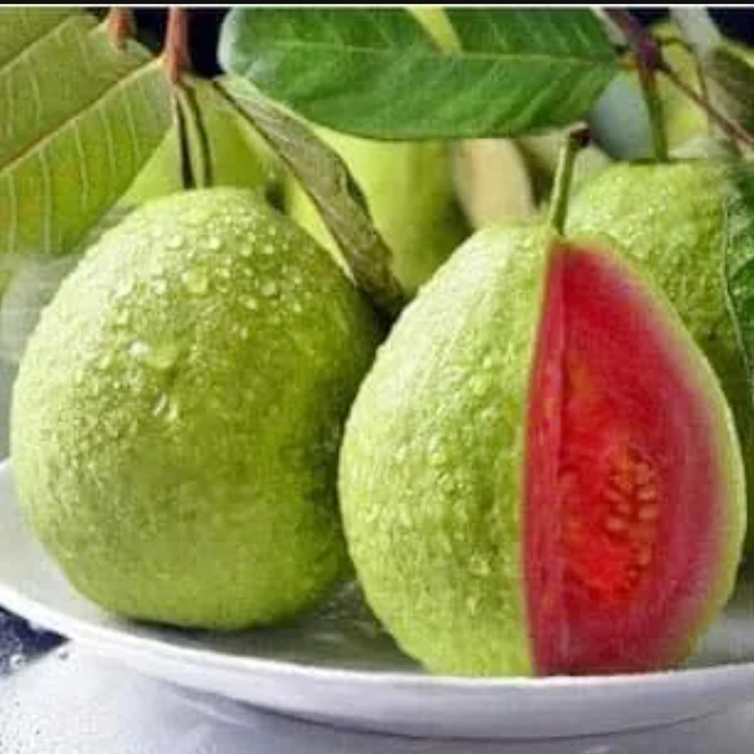 AAAA