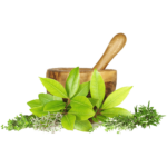 medicinal & Aromaticplants